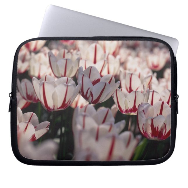 Tulips Laptop Sleeve (Front)