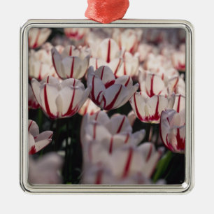 Tulips Metal Ornament
