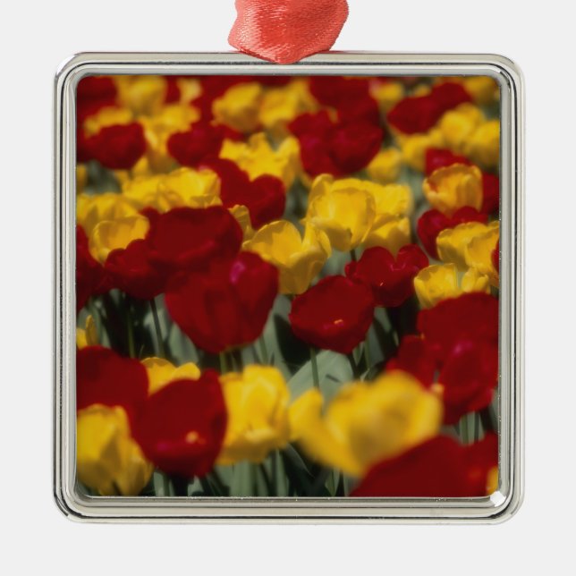 Tulips Metal Tree Decoration (Front)
