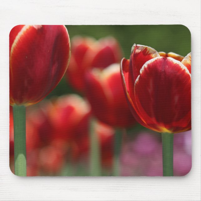Tulips Mouse Pad (Front)