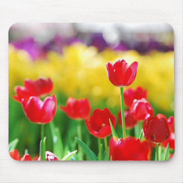 Tulips Mouse Pad (Front)