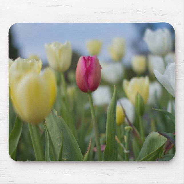 Tulips Mouse Pad (Front)