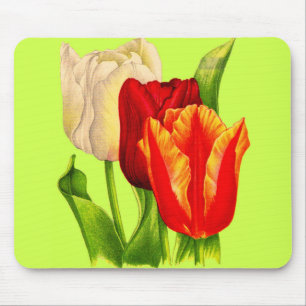 tulips mouse pad