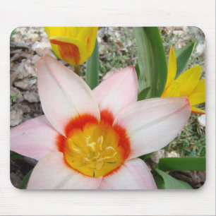 TULIPS MOUSEPADS Pink Tulip Flowers MOUSE PAD