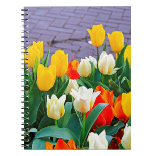 Tulips Notebook