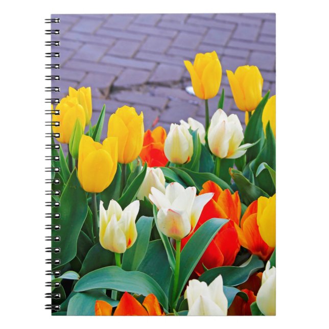 Tulips Notebook (Front)