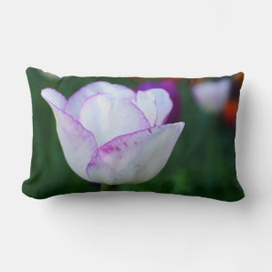 Tulips of Spring Lumbar Cushion
