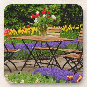 Tulips of table in garden, Keukenhof Gardens, Coaster