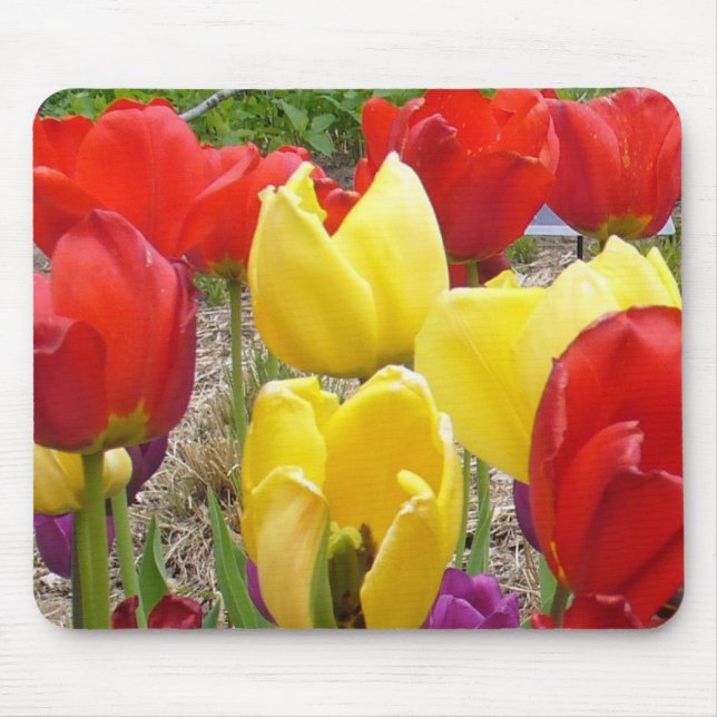Tulips of the Botanical Garden Mouse Pad (Front)