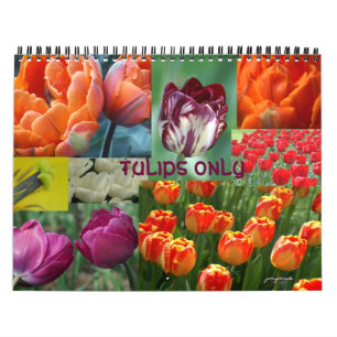 tulips only calendar