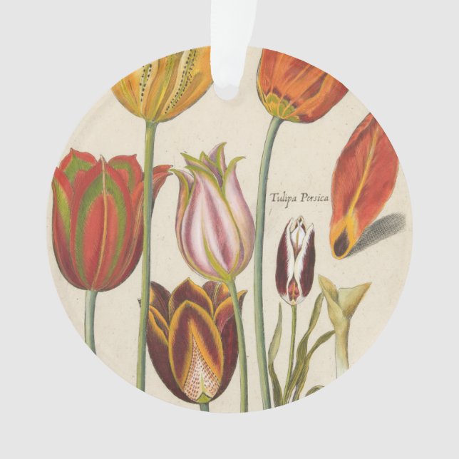 Tulips Ornament (Front)