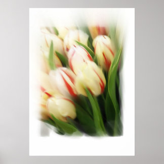 "Tulips" painting on canvas Poster
