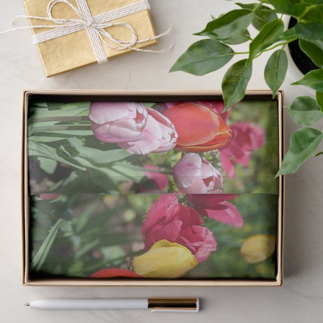 Tulips Photo Tissue Paper (Gift)