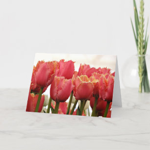 Tulips Photograph   Coral and Gold Fringed Card