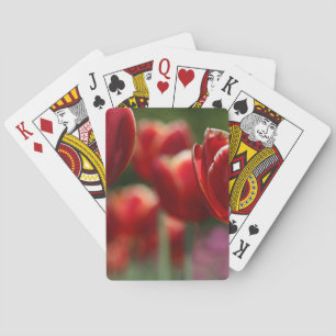 Tulips Playing Cards