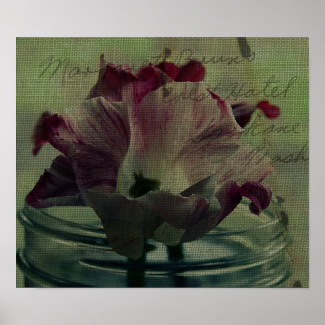 Tulips Poster (Front)