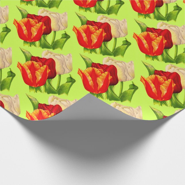 tulips print wrapping paper (Corner)