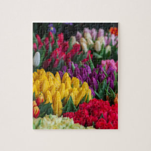Tulips Puzzle