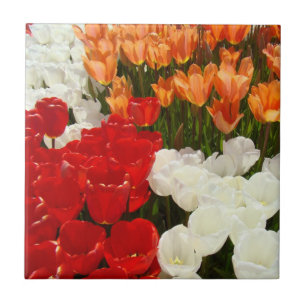 Tulips Red Orange White Tulip Flowers gifts Ceramic Tile