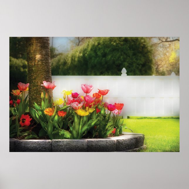 Tulips - Spring Tulips Poster (Front)