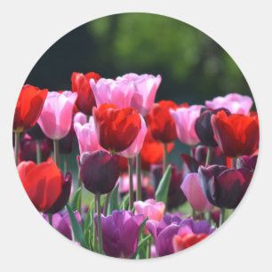 Tulips Stickers