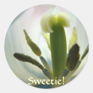 Tulips Stickers Sweetie! Spring Flowers Stickers