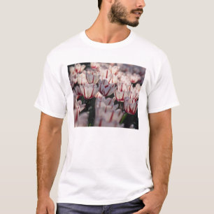 Tulips T-Shirt