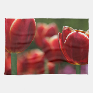Tulips Tea Towel