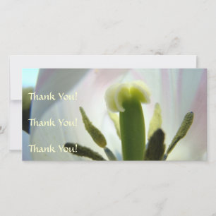 Tulips Thank You Card Thank You Photocard Thanks