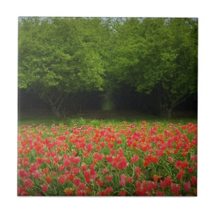 Tulips & Trees Ceramic Tile