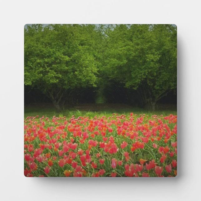 Tulips & Trees Plaque (Front)