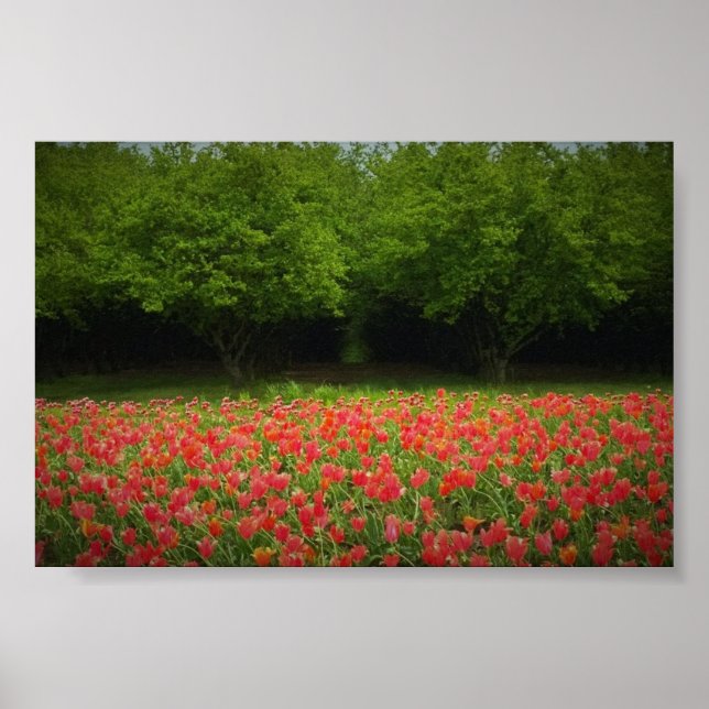 Tulips & Trees Poster (Front)
