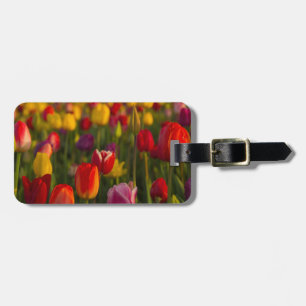 Tulips, Tulip Festival, Woodburn, Oregon, USA 2 Luggage Tag