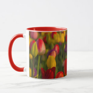 Tulips, Tulip Festival, Woodburn, Oregon, USA 2 Mug