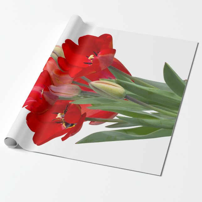 Tulips Wrapping Paper (Unrolled)