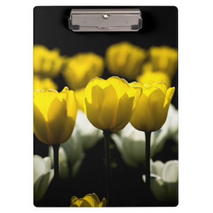 Tulips Yellow And White Clipboard