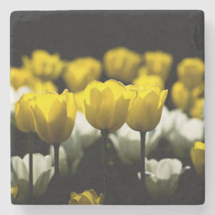 Tulips Yellow And White Stone Coaster