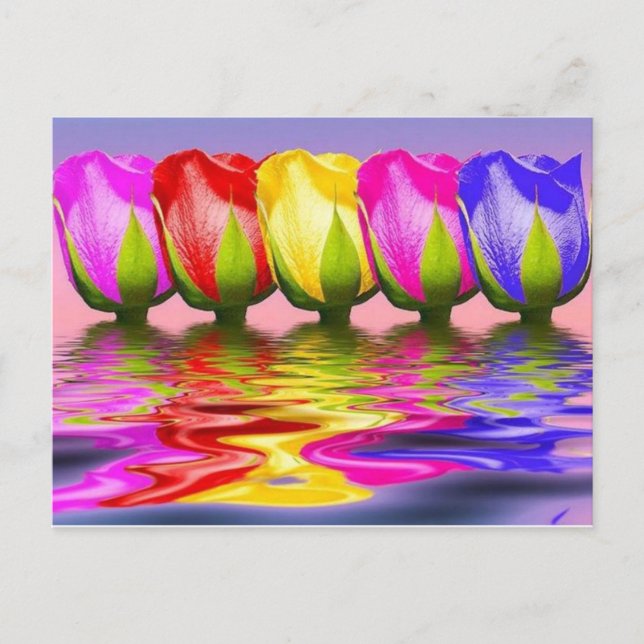 tulpen in water postcard (Front)