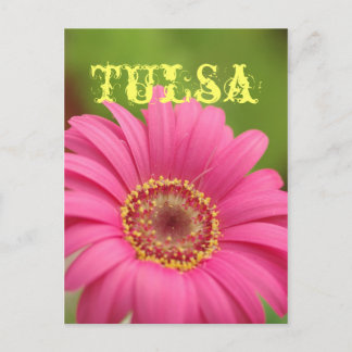 "Tulsa" Pink Gerbera Daisy Postcard
