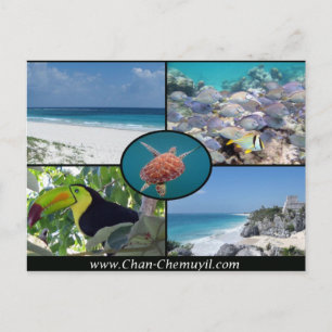 Tulum Vacation Rentals - Chan Chemuyil Post Card