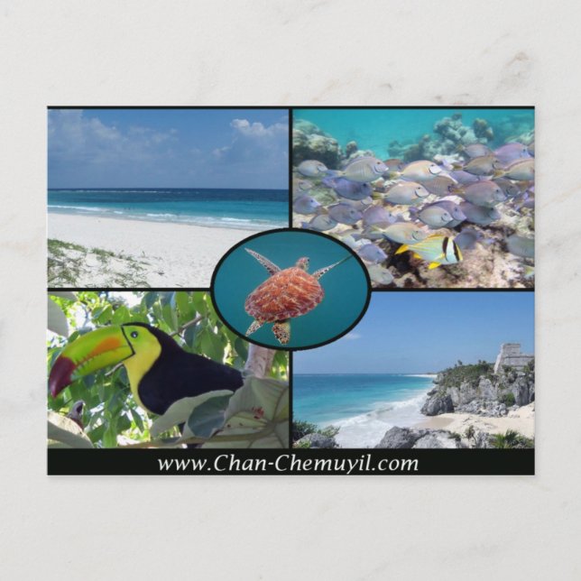 Tulum Vacation Rentals - Chan Chemuyil Post Card (Front)