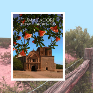 Tumacacori Mission Church, Pomegranate Blossoms Postcard