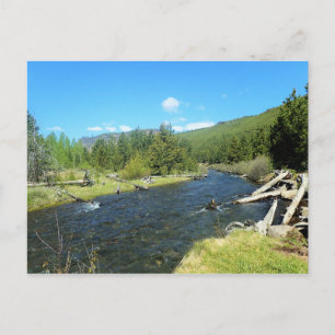 Tumalo Creek Postcard