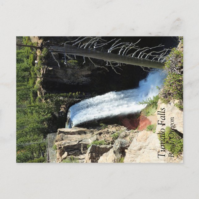 Tumalo Falls, OR Postcard (Front)