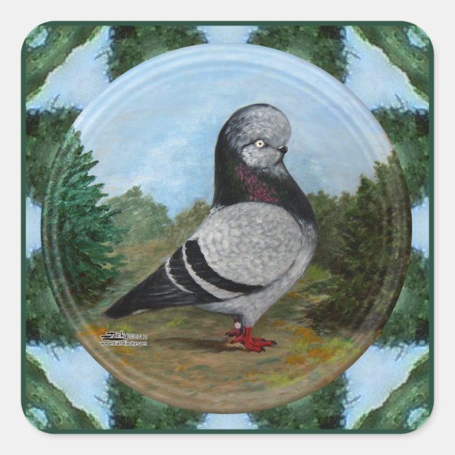 Tumbler Blue Grizzle Pigeon Square Sticker (Front)