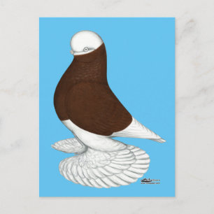 Tumbler: Muffed Red Bald Postcard