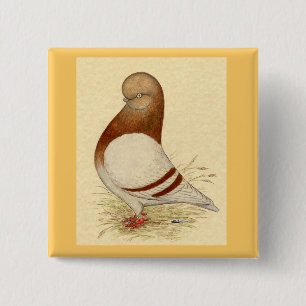 Tumbler Pigeon: LFCL Mealy 15 Cm Square Badge