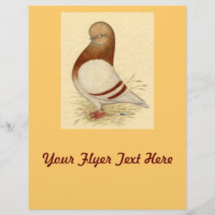 Tumbler Pigeon: LFCL Mealy Flyer