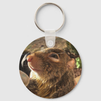 Tumbleweed smiling key ring
