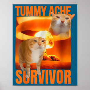 Tummy Ache Survivor Cat Meme Funny Saying Cats Ani Poster